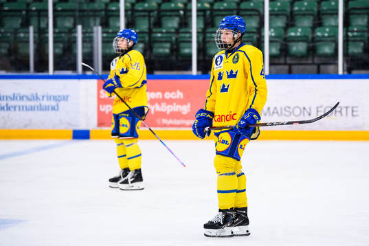 Sveriges Alexander Zetterberg och Leo Sahlin Wallenius