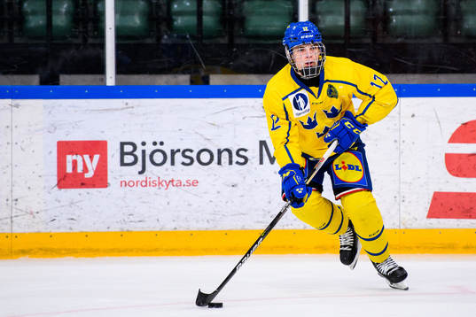 Sveriges Melvin Fernström