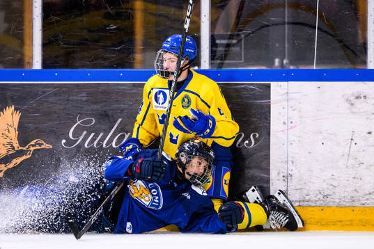 Finlands Lauri Sinivuori och Sveriges Leo Sahlin Wallenius
