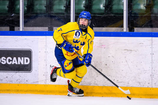 Sveriges Viggo Nordlund