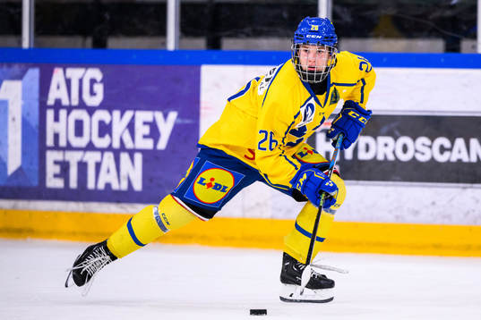 Sveriges Alexander Zetterberg