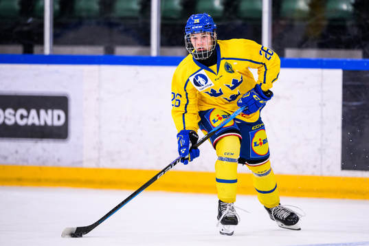 Sveriges Alexander Zetterberg