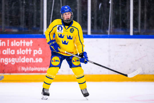 Sveriges Wiktor Jerneheim