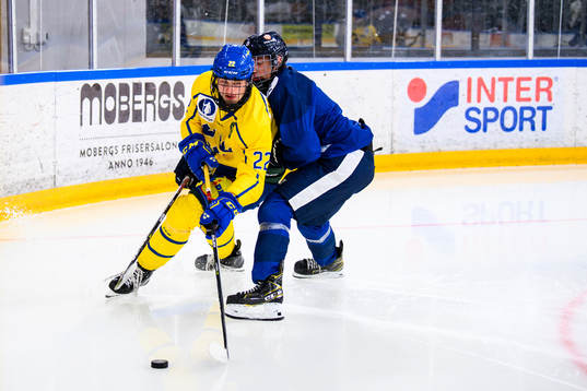 Sveriges Karl Sterner och Finlands Niklas Nykyri