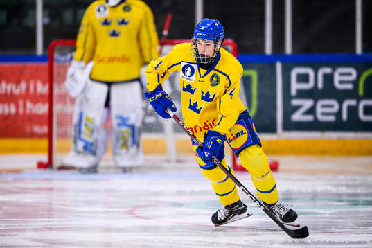 Sveriges Leo Sahlin Wallenius