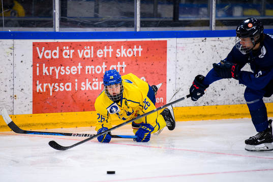Sveriges Alexander Zetterberg och Finlands Eelis Marila