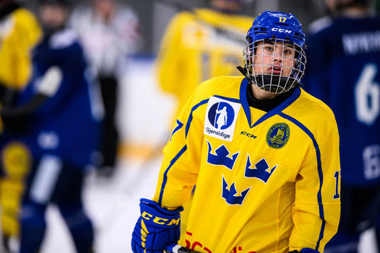 Sveriges Viggo Nordlund