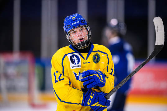 Sveriges Melvin Fernström