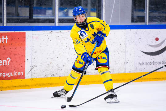 Sveriges Alexander Zetterberg