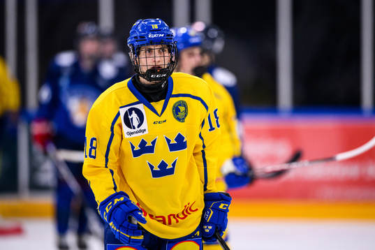 Sveriges Victor Eklund