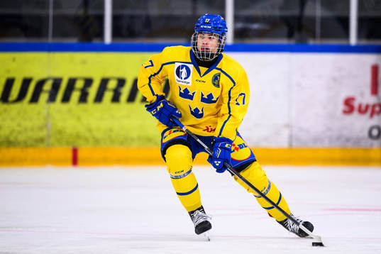 Sveriges Viggo Nordlund