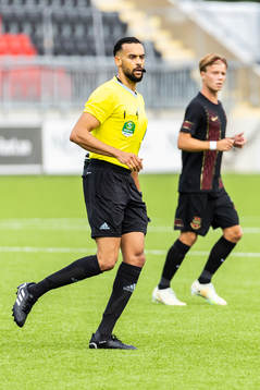 Domare Farouk Nehdi
