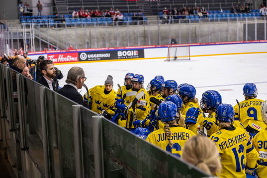 Players of Sweden