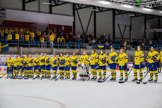 The players of Sweden