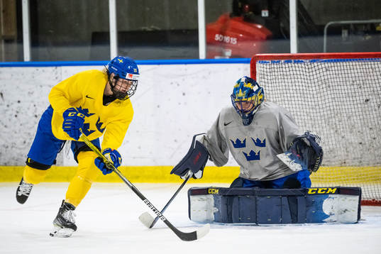 Michelle Löwenhielm and goaltender Ida Boman of Sweden at