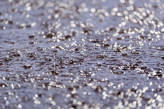 Regn
