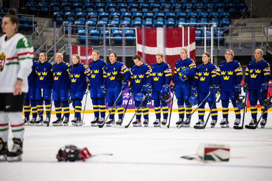 Players of Sweden