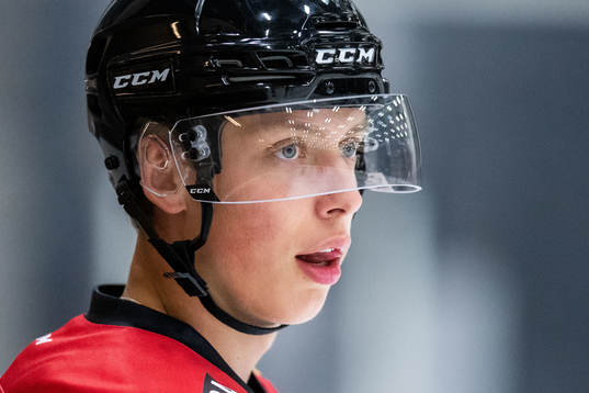 Bläddra bland fler bilder av Ishockey, SHL, Malmö Redhawks, Träning 