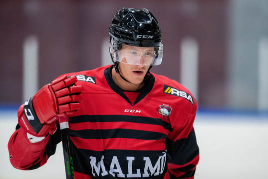 Emil Sylvegård