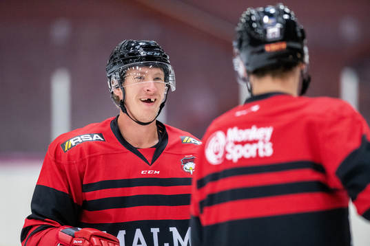 Emil Sylvegård