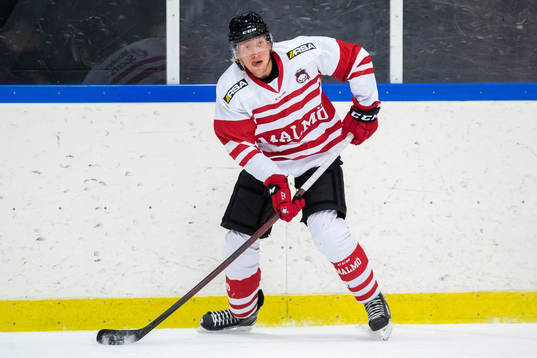 Marcus Sylvegård