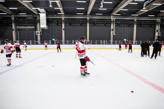 Malmö Redhawks spelare