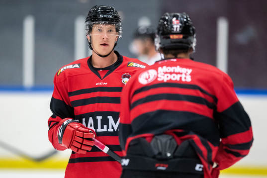 Emil Sylvegård