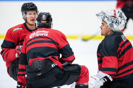 Emil Sylvegård, Markus Lauridsen och målvakt Adam Werner