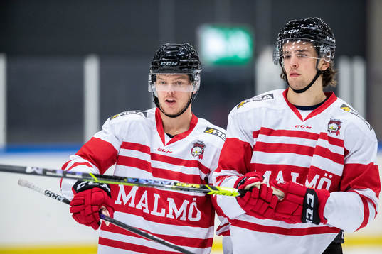 Carl-Johan Lerby och Thomas Schemitsch