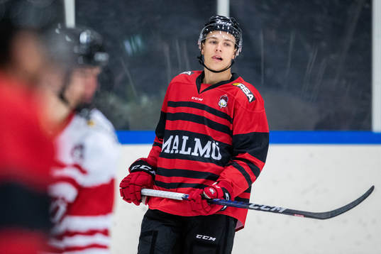 Noah Schalin