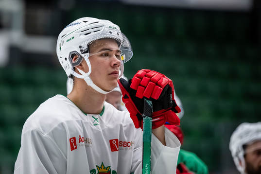 Rögles William Wallinder