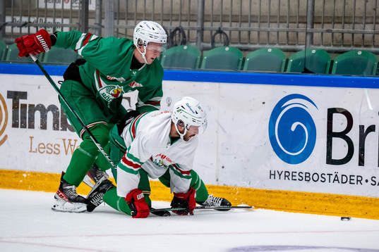 Rögles Adam Engström  och Riley Sheen