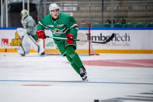 Rögles Daniel Ljungman