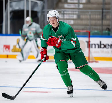 Rögles Adam Engström