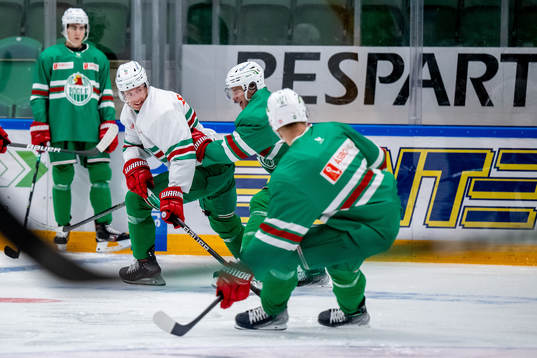 Rögles Adam Tambellini  och William Wallinder