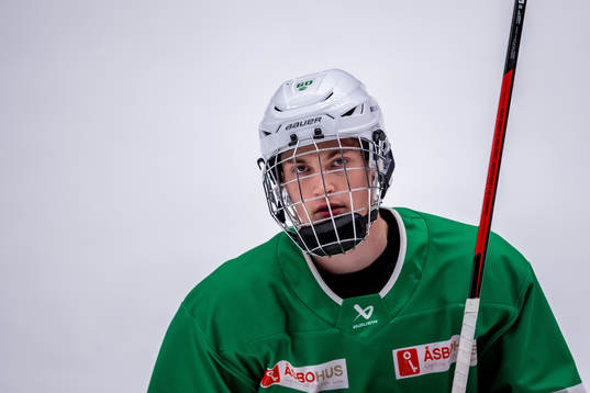 Rögles Tom Wilander