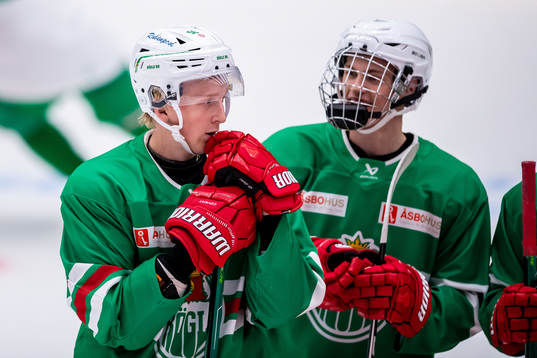 Rögles Adam Engström