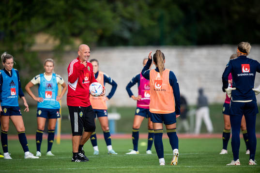 Magnus Wikman, assistant coach