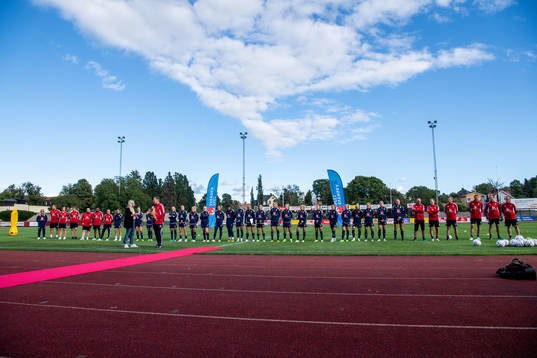 The players and staff of Sweden
