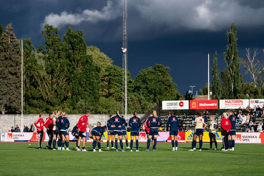 The players of Sweden