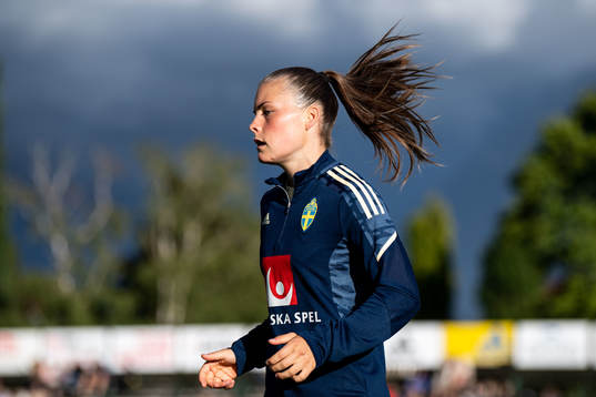 Hanna Wijk