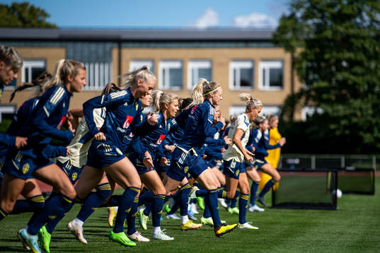 Amanda Ilestedt with teammates