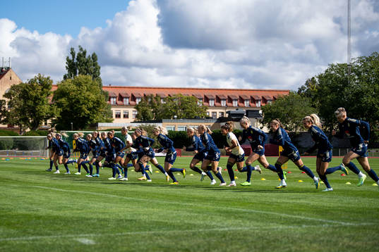 Players of Sweden