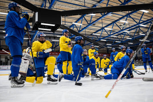Players of Sweden at a practice session