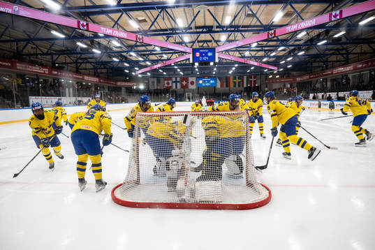Players of Sweden