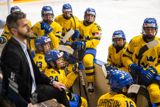 Players of Sweden