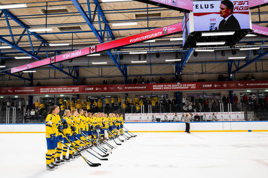 Players of Sweden