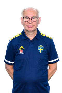 Göran Havik, Projektledare internationella evenemang på