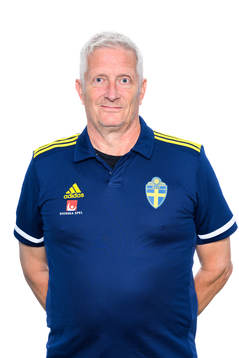Peter Brusvik, Forskningssamordnare på Svenska