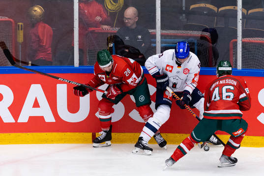 Anthony Greco and Liam Dower Nilsson battling for the puck